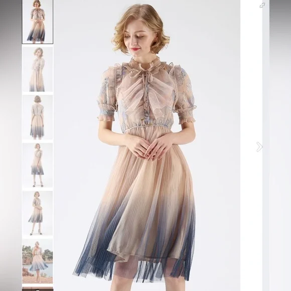 Chicwish We Know it All Gradient Pleated Mesh Tulle Dress